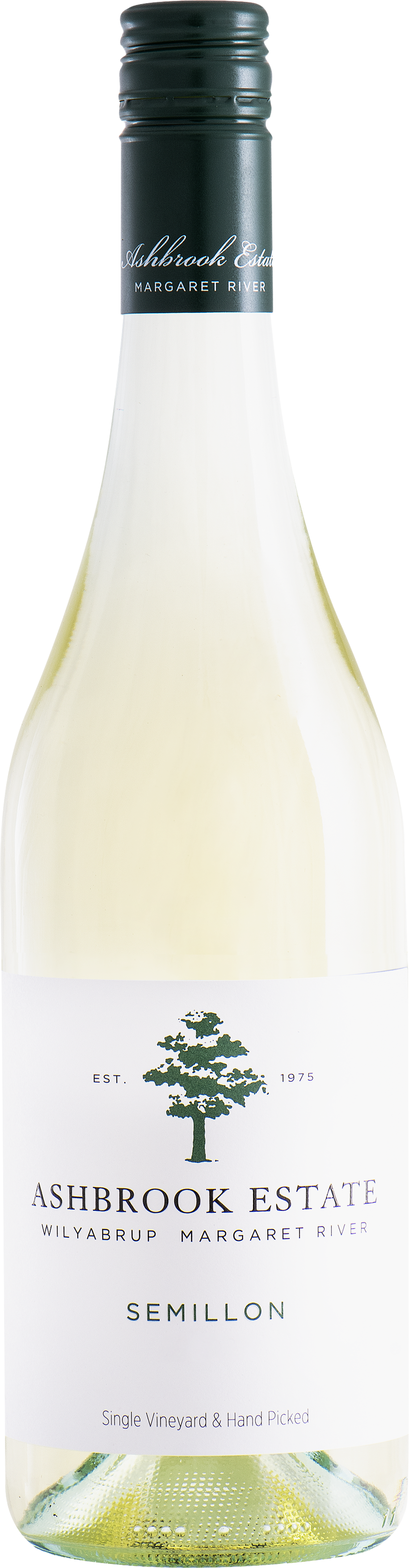 Ashbrook Estate Margaret River Semillon 2022